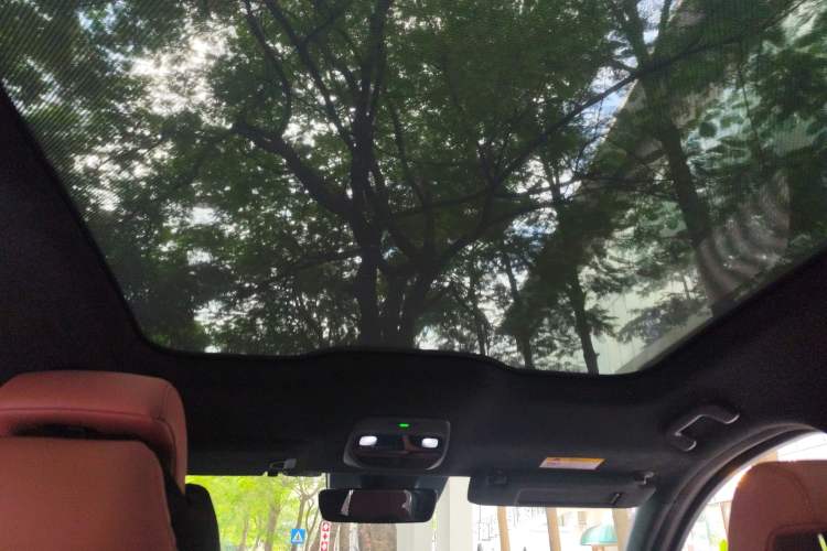 Used Nio EC6 2020 615 km Signature Edition Headliner
