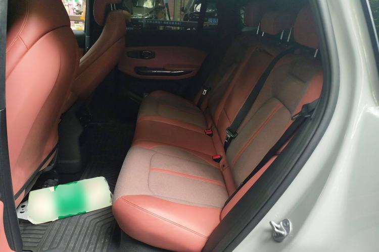 Used Nio EC6 2020 615 km Signature Edition Left Rear Seat
