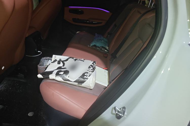 Used Nio EC6 2020 440 km Performance Version Left Rear Seat