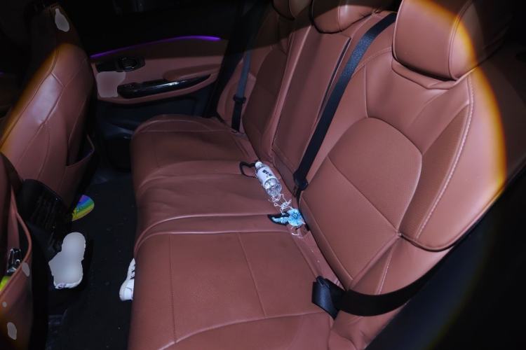 Used Nio EC6 2020 430 km Sport Version Left Rear Seat