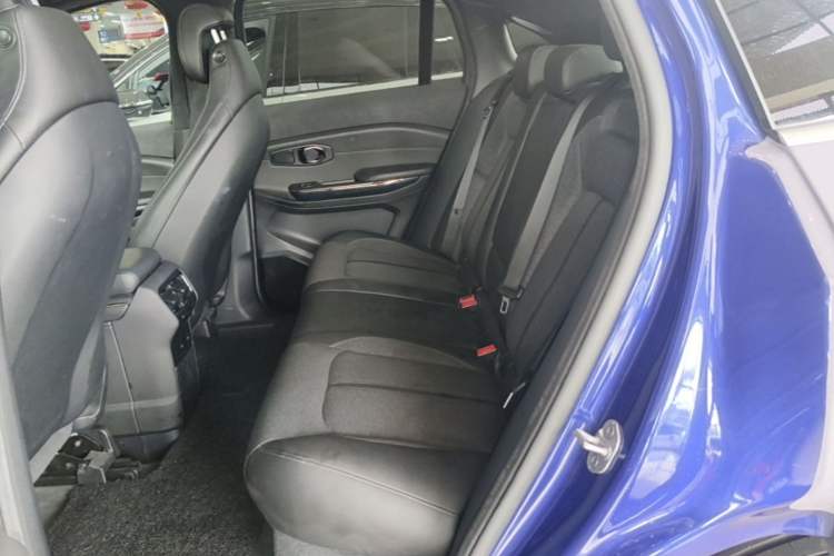 Used Nio EC6 2020 440 km Performance Version Left Rear Seat