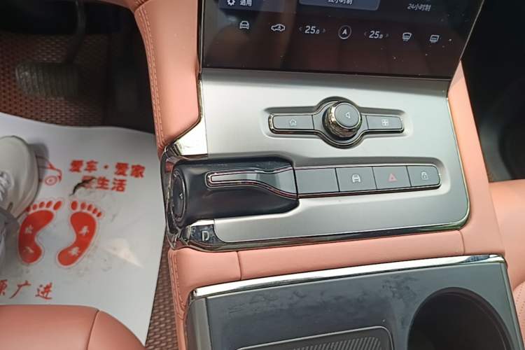 Used Nio EC6 2020 615 km Performance Edition Gear Lever