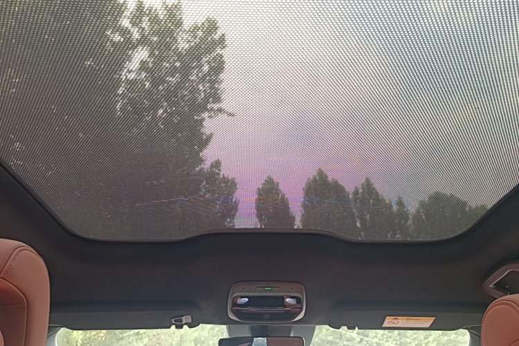 Used Nio EC6 2020 615 km Performance Edition Headliner