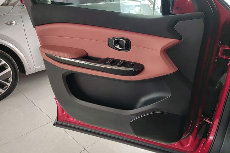 Used Nio EC6 2020 440 km Performance Version Left Front Door Interior