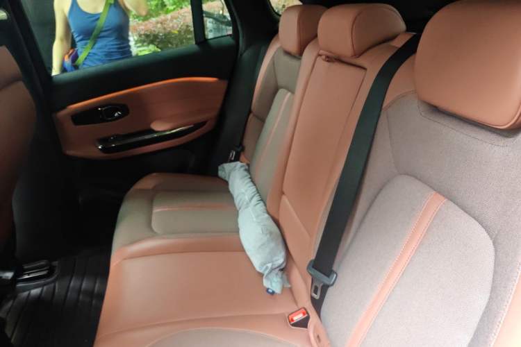 Used Nio EC6 2020 440 km Performance Version Left Rear Seat