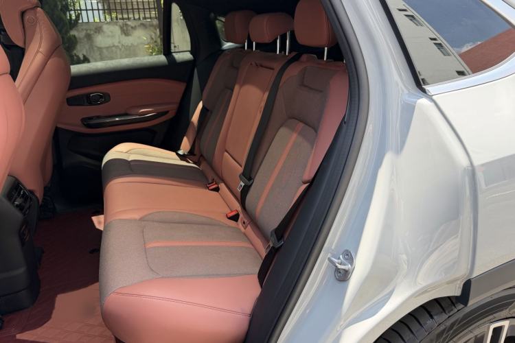 Used Nio EC6 2020 440 km Performance Version Interior 4