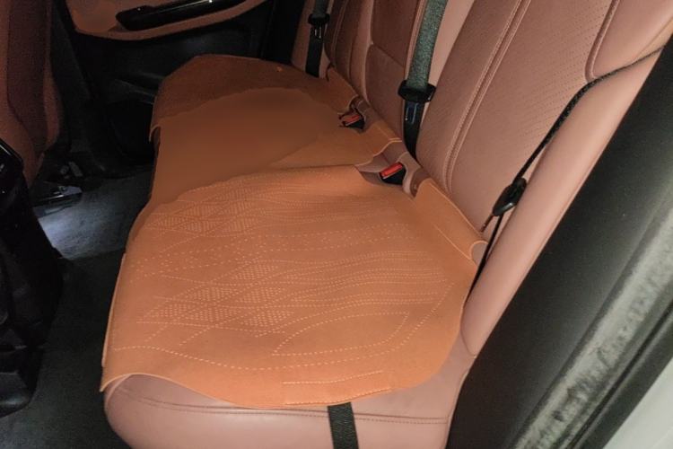 Used Nio EC6 2020 440 km Performance Version Left Rear Seat