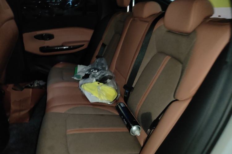 Used Nio EC6 2020 475 km Performance Version Left Rear Seat