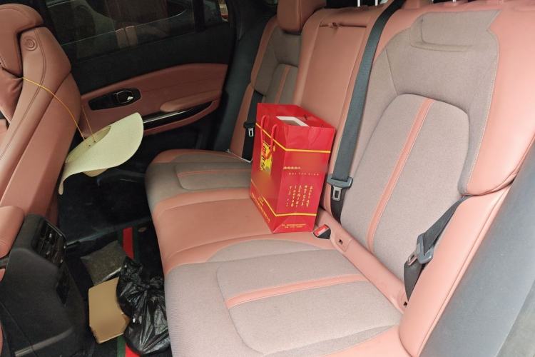 Used Nio EC6 2020 615 km Signature Edition Left Rear Seat