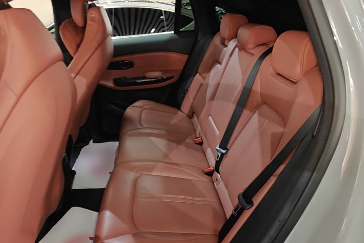 Used Nio EC6 2020 475 km Performance Version Left Rear Seat