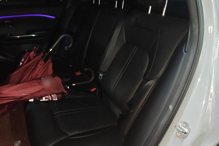 Used Nio EC6 2020 615 km Performance Edition Left Rear Seat