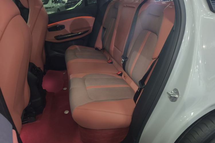 Used Nio EC6 2020 440 km Performance Version Left Rear Seat