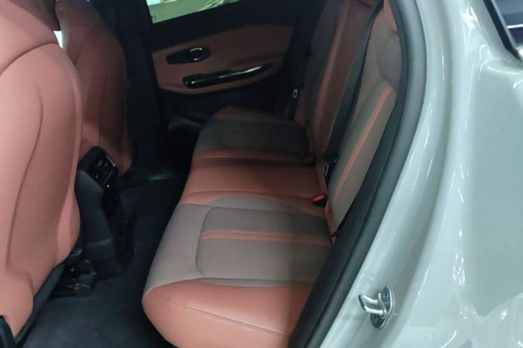 Used Nio EC6 2020 430 km Sport Version Left Rear Seat