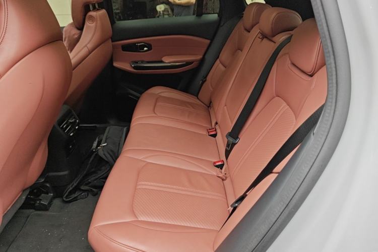 Used Nio EC6 2020 440KM Signature Edition Left Rear Seat