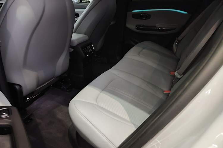 Used Nio EC6 2020 440 km Performance Version Left Rear Seat
