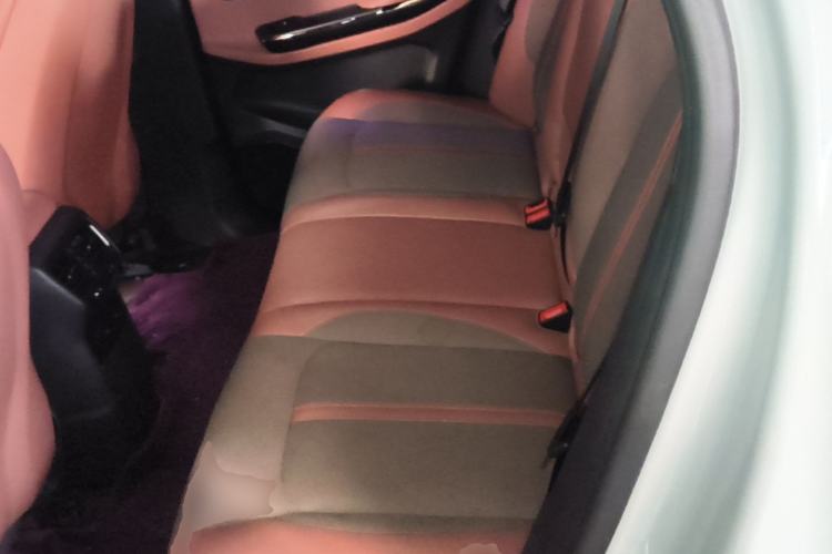 Used Nio EC6 2020 440 km Performance Version Left Rear Seat