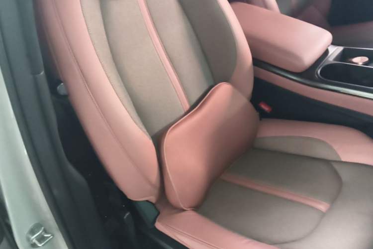 Used Nio EC6 2020 440 km Performance Version Right Front Seat