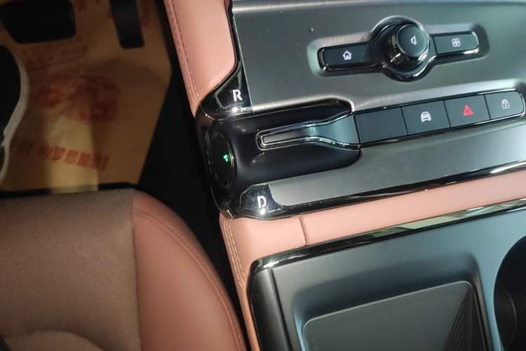 Used Nio EC6 2020 440 km Performance Version Gear Lever