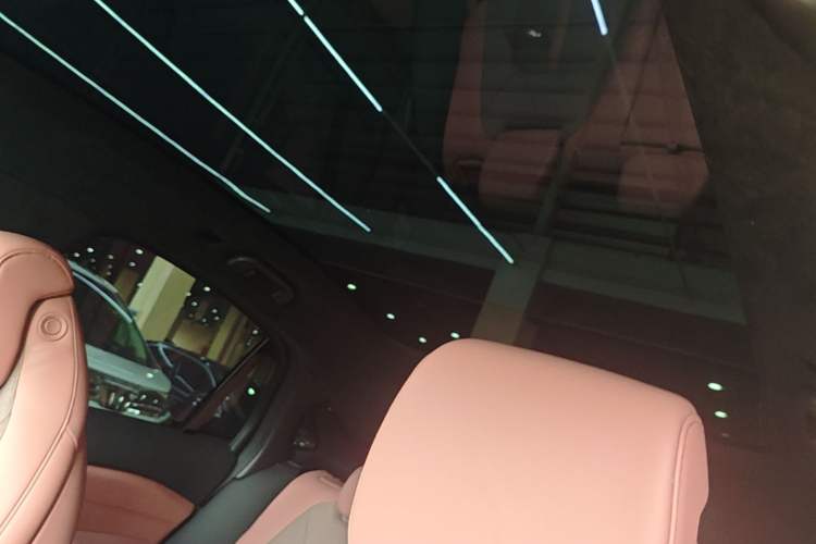 Used Nio EC6 2020 615 km Performance Edition Headliner
