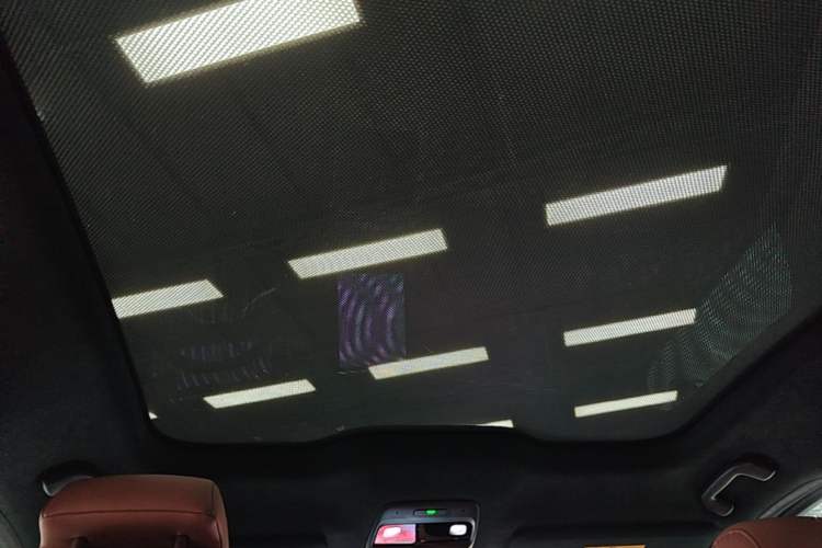 Used Nio EC6 2020 615 km Performance Edition Headliner