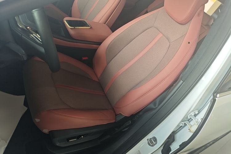 Used Nio EC6 2020 615 km Performance Edition Left Front Seat
