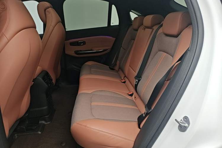 Used Nio EC6 2020 430 km Sport Version Left Rear Seat