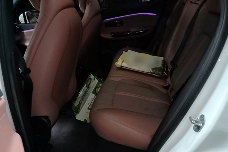 Used Nio EC6 2020 615 km Performance Edition Left Rear Seat