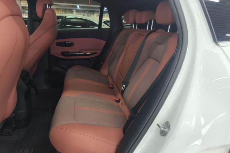 Used Nio EC6 2020 430 km Sport Version Left Rear Seat