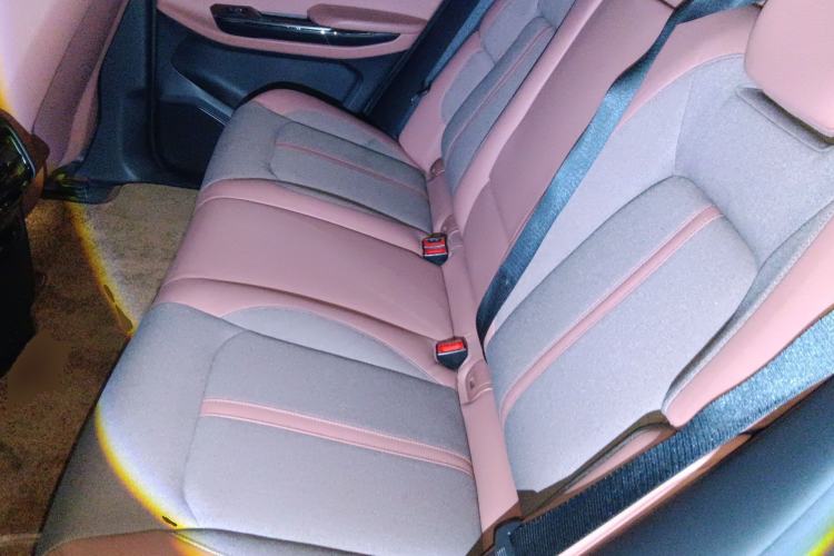 Used Nio EC6 2020 440 km Performance Version Left Rear Seat