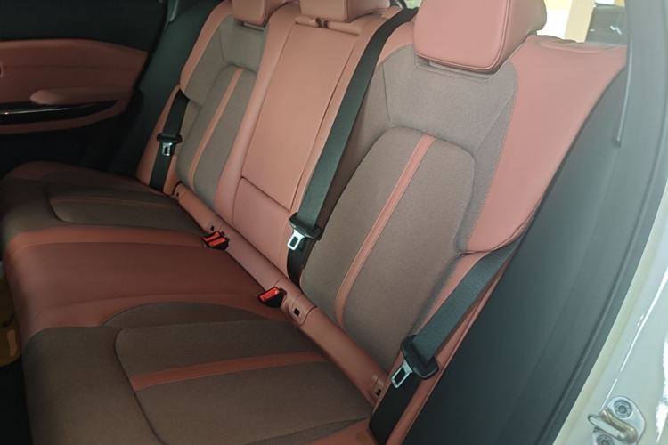 Used Nio EC6 2020 615 km Performance Edition Left Rear Seat