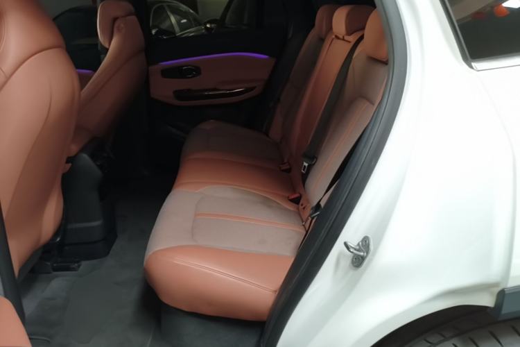 Used Nio EC6 2020 615 km Performance Edition Left Rear Seat
