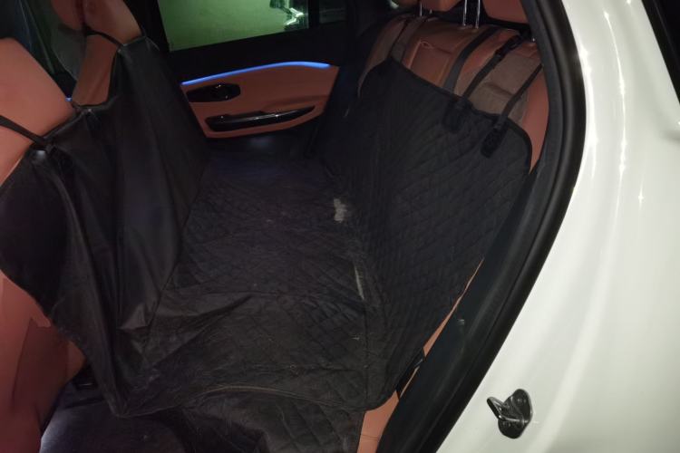 Used Nio EC6 2020 430 km Sport Version Left Rear Seat