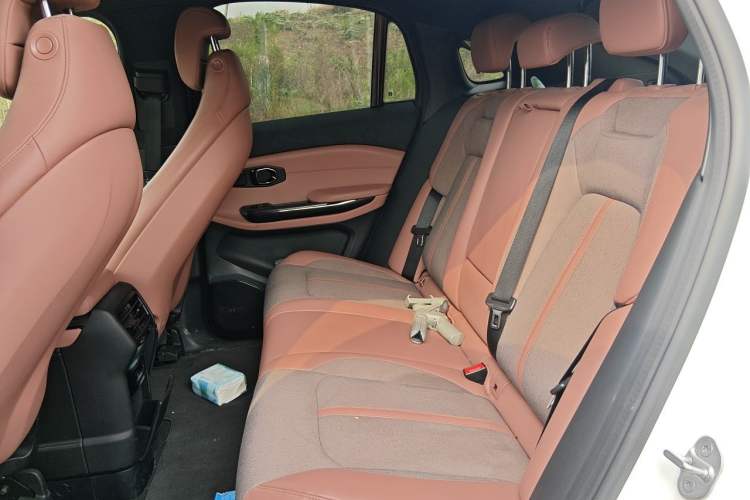 Used Nio EC6 2020 440 km Performance Version Left Rear Seat