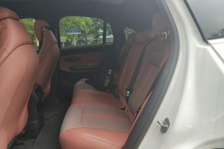 Used Nio EC6 2020 440 km Performance Version Left Rear Seat
