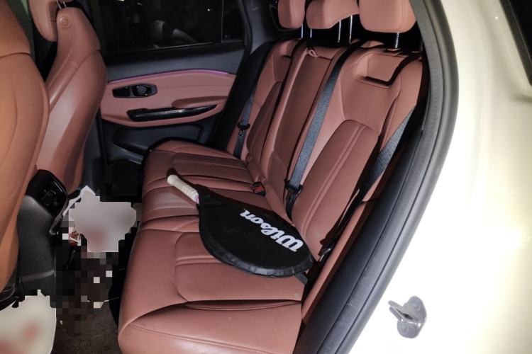 Used Nio EC6 2020 430 km Sport Version Left Rear Seat
