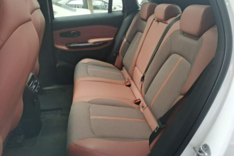 Used Nio EC6 2020 615 km Signature Edition Left Rear Seat