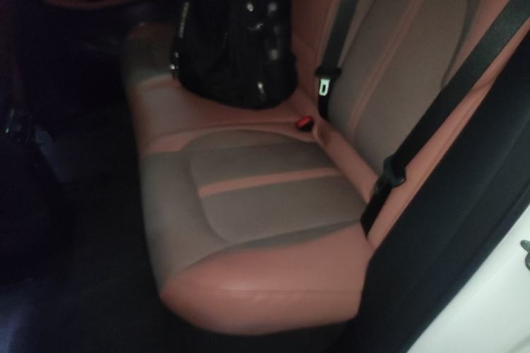Used Nio EC6 2020 440 km Performance Version Left Rear Seat