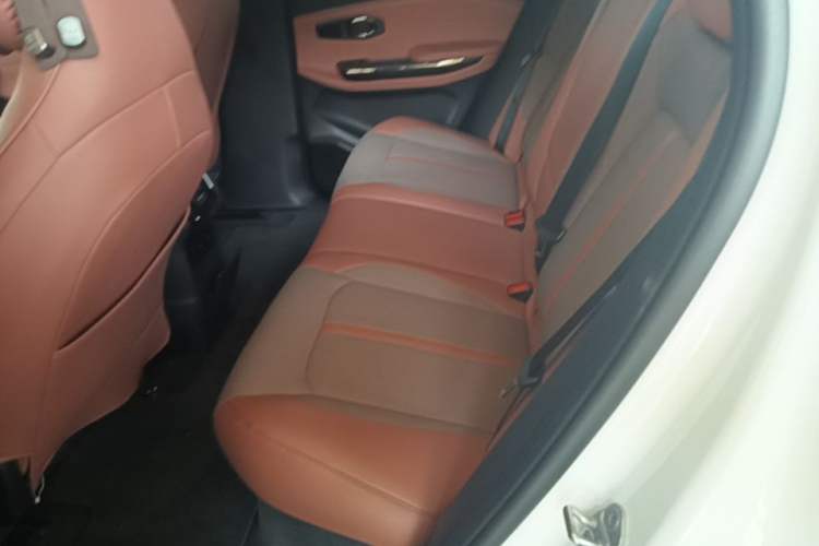 Used Nio EC6 2020 605 km Sport Edition Left Rear Seat