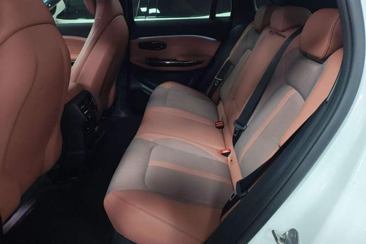Used Nio EC6 2020 440 km Performance Version Left Rear Seat