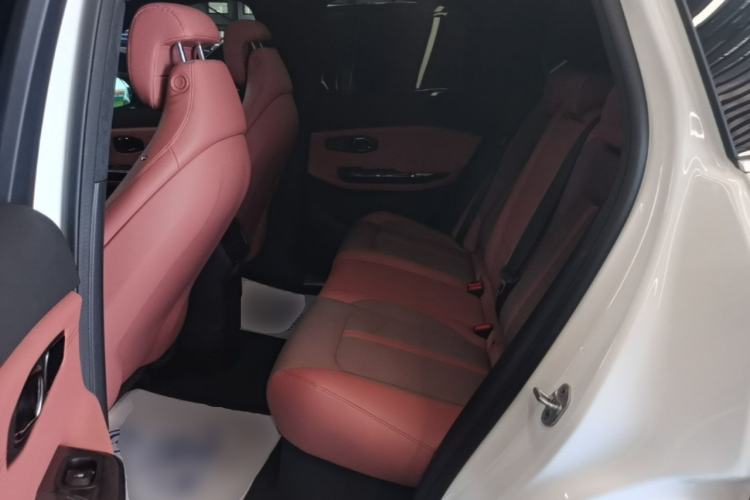 Used Nio EC6 2020 430 km Sport Version Left Rear Seat