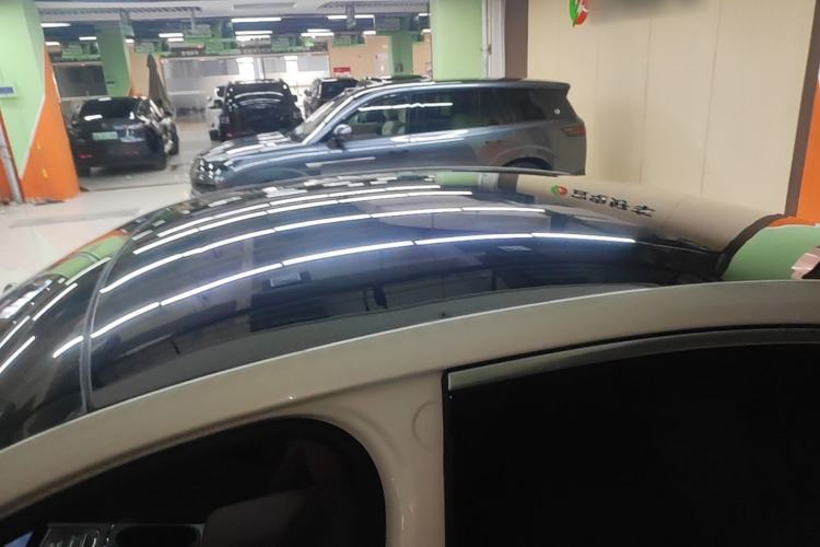 Used Nio EC6 2020 440 km Performance Version Roof