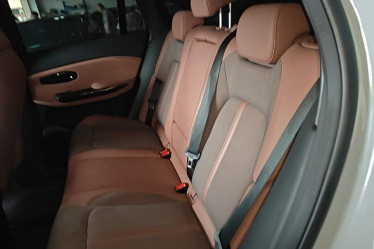 Used Nio EC6 2020 605 km Sport Edition Left Rear Seat