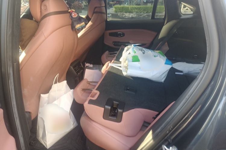 Used Nio EC6 2022 100kWh Performance Version Left Rear Seat
