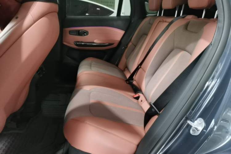 Used Nio EC6 2022 100kWh Performance Version Left Rear Seat