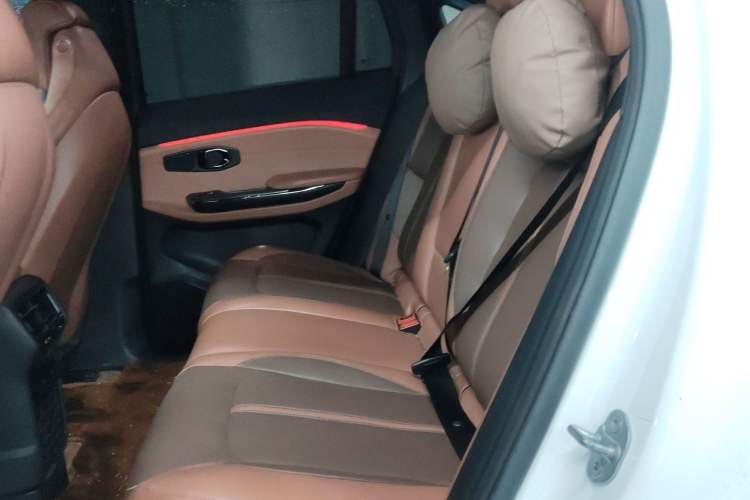 Used Nio EC6 2022 100kWh Performance Version Left Rear Seat