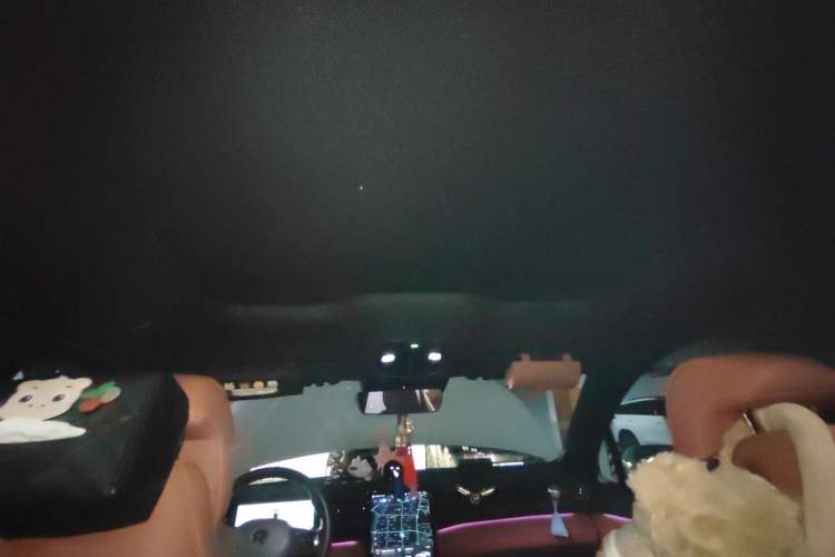 Used Nio EC6 2022 75 kWh Sport Edition Headliner
