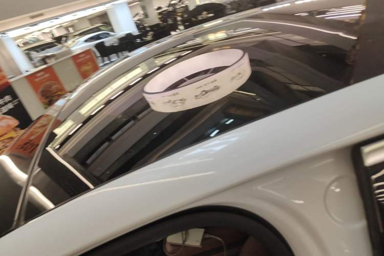 Used Nio EC6 2022 75 kWh Performance Version Roof