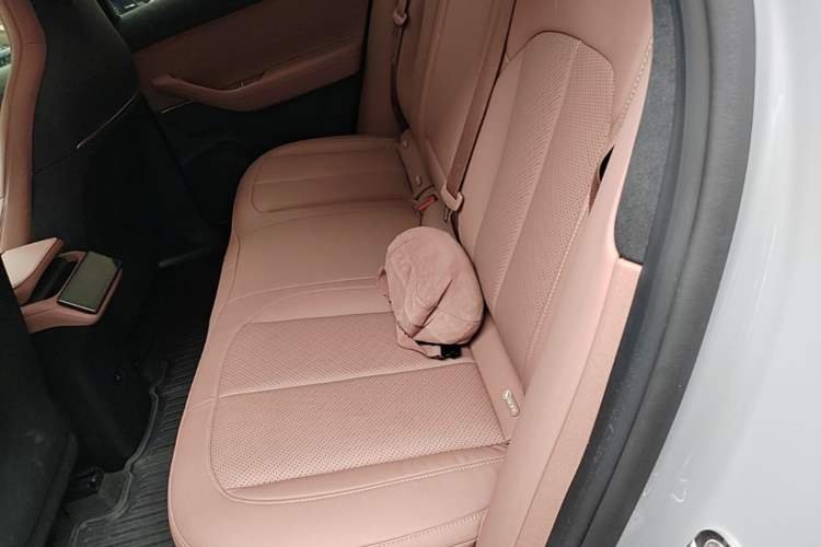 Used Nio EC6 2023 75 kWh Left Rear Seat