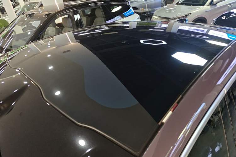Used Nio EC6 2023 75 kWh Roof