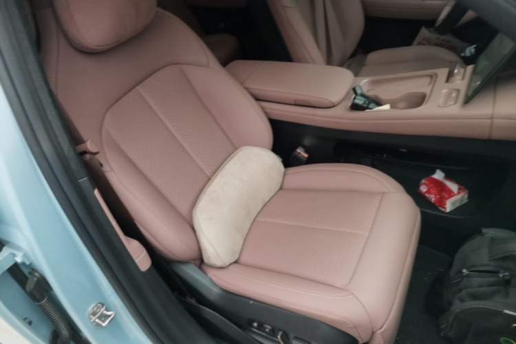 Used Nio EC6 2024 75 kWh Right Front Seat